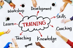 Diverse People and Training Concepts